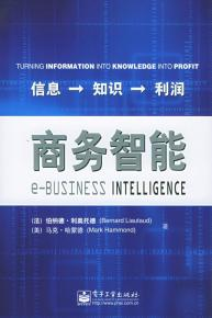商務(wù)智能: 信息→知識(shí)→利潤
